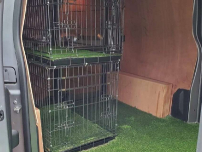 Dog van with safety cage. H&H Dog Training Services in Watford and North London. Experts in Dog Training, Dog Walking & Dog Grooming Services