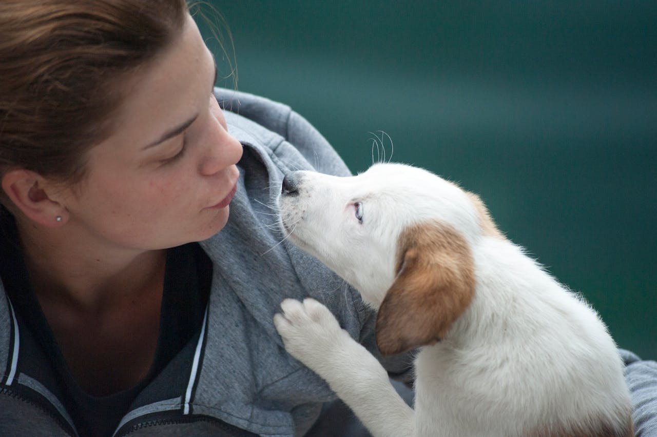 toilet training puppies uk