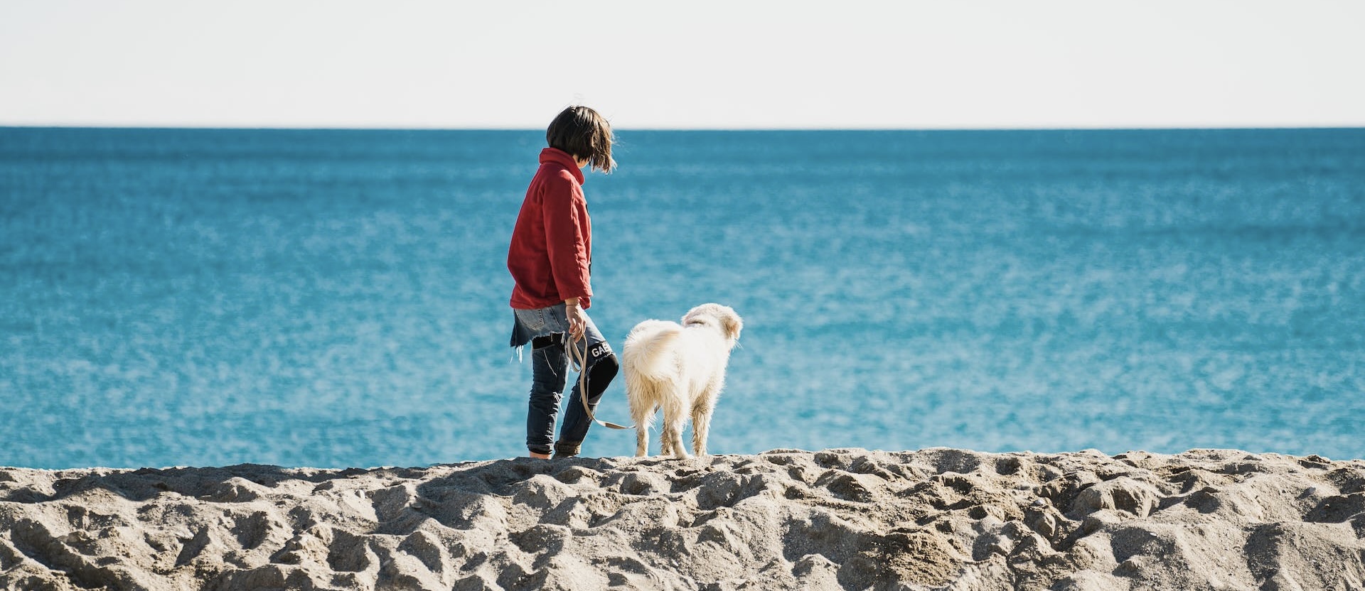 Mindful dog walking north london